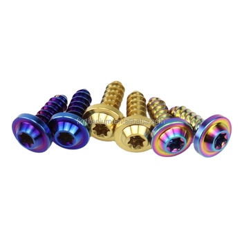 Colorful Pan Torx Head M4x15 M5x15 18 20mm Gr5 Motorcycle Modification Titanium Self Tapping Self Drilling Screws